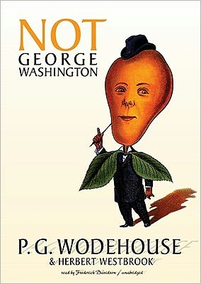 Not George Washington [ePUB]